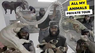 Private Tour of All my animals UPDATED 2026 