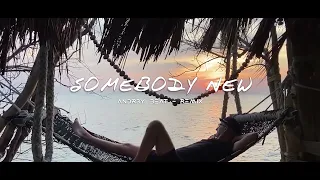 Download Andr3y Beat - Somebody New ( New Remix ) MP3