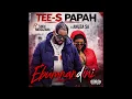 Tee-s Papah x Anuza SA x Sindi Nkosazana - Ebumnandini (Official Audio)