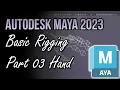 Vix Assist DizzyVix - Basic Rigging Maya 2023