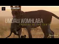 Daniel Mwamba | UyiNkosi yamakhosi Official Video Lyrics