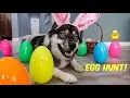 Kakoa s First Easter Egg Hunt
