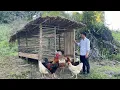 Download Lagu CEO Finishes the Chicken Coop in the Forest – Welcoming 7 New Chickens and Cooking