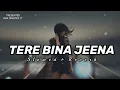 Download Lagu Tere Bina Jeena (slowed + reverb)💕|| #lyrics #slowed #reverb #slowedandreverb