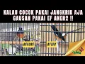Download Lagu MURAI PAKAI JANGKRIK AJA CUKUP ‼️