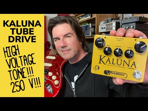 Vahlbruch Kaluna II Tube Overdrive | Delicious Audio