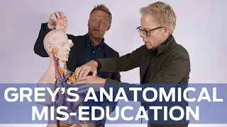 Anatomical Mis-Education with Grey s Anatomy s Kevin McKidd and Greg Germann