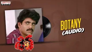 botany audio shiva nagarjuna amala ramgopal varma ilayaraja