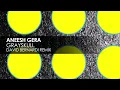 Aneesh Gera - Grayskull (David Bernardi Remix)