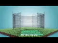 Origin Point Brands - No Dig Multi Purpose Fence