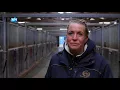 Download Lagu Inbrekers ponyclub Zuidoostbeemster vastgelegd op bewakingscamera | NH NIEUWS