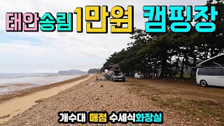 태안안면 샛별해변 1만원, 태안 바닷가 천혜의 송림 캠핑장, 깨끗한 수세식 화장실과 개수대, 천혜의 모래 해변 안면도 샛별해변 황포항 캠핑카 여행 차박노지 탐방. 썸네일