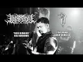 Download Lagu Adam DeMicco -  Rig Overview (Pain Remains Tour)