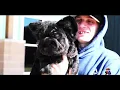 The Bully Dex Showdown 2026