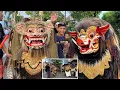 Download Lagu BARONG BANGKUNG MEPETUK DAHSYAT
