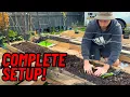 How to Start a Berry Patch from Scratch