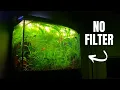 My 36 Gallon Bow Front Aquarium