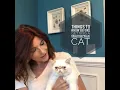 Brachycephalic Flat or Smoosh Face Cats - Special Considerations
