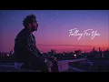 Download Lagu Post Malone – Falling For You | Lyrics Video