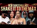 Download Lagu NEW DANCEHALL MIX 2025 SHAKE IT TO THE MAX MOLIY, VYBZ KARTEL, SHENSEEA, SKILLIBENG, POPCAAN