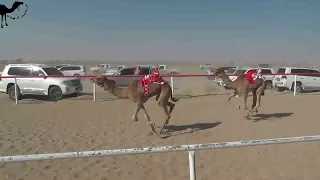 مسعف حمدان بن سيف بن سالم الدرعي ميدان اسود 