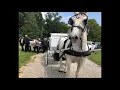 Amy Lovett funeral