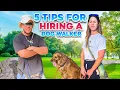 5 Tips for Hiring a Dog Walker