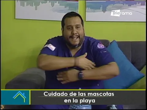 Cuidado de las mascotas en la playa