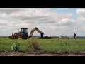 Iowa Minute Updated drainage leads to improved water quality