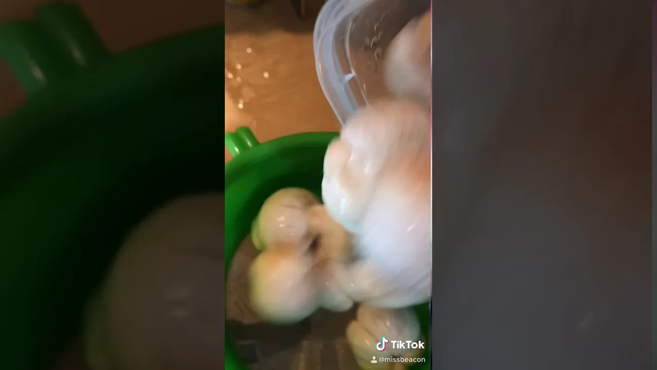 Durian ធូរេន. 