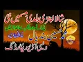 Shala Apni Baldi Mismain Nei | Hussain Bandial | Wattakhel Production | Official Video