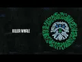 Неизвестный Композитор - Killer Whale (Aurora Borealis. Аудио)