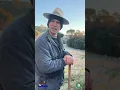 Download Lagu Com Geada Não Vou Trabalhar