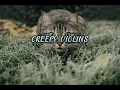 Download Lagu Creepy Violins - APOLLO NOVE (Capcut Music trend)