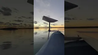 Our New Morning Ritual #starlink #shorts #sailingbyefelicia