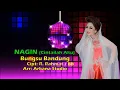 Download Lagu NAGIN (Cintailah aku)    (BUNGSU BANDUNG)