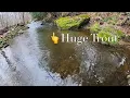 TROUT FISHING On Opening Day 2025 In PA HUGE SURPRISE
