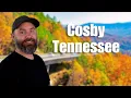 A Local s Guide To Living In Cosby Tennessee