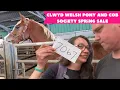 Clwyd Welsh Pony and Cob Society Spring Sale Pony Fun