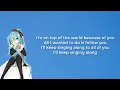 Anamanaguchi Miku Lyrics
