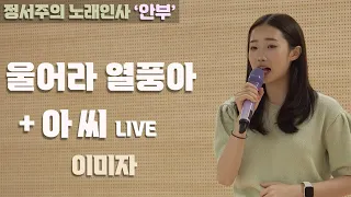 [정서주] 울어라열풍아 + 아씨 Live 『노래인사 ‘안부’ 해남 송지면』