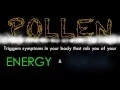 How Pollen Affects Us - El Paso Ear Nose and Throat