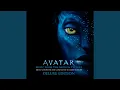 Download Lagu The bioluminescence of the night