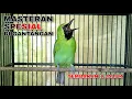 Download Lagu MASTERAN SPESIAL DIGANTANGAN || CUCAK IJO TEMBAKAN 1 JALUR UNTUK MERANGSANG AGAR BUKA ISIAN