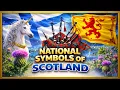 National Symbols of Scotland Explained Flag Thistle National Identity