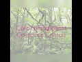 Conscious Crystals - Core Entanglement (Full Album)