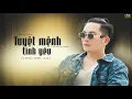 Download Lagu TUYỆT MỆNH TÌNH YÊU - VƯƠNG TRIỆU ANH | OFFICIAL MV | Sẽ đập tan mộng cơn ái tình...