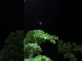 viral.!!!! detik detik hujan meteor 29 juli 2022
