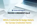 MicroCredentials Touro Overview of the Canvas Credential Forms Within the Micro-