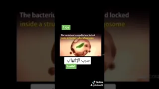                     دندنها